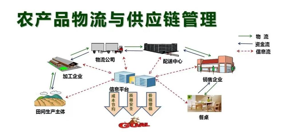 臨沂科技職業學院新專業 農產品流通與管理（新媒體營銷方向）引領現代農業市場新浪潮